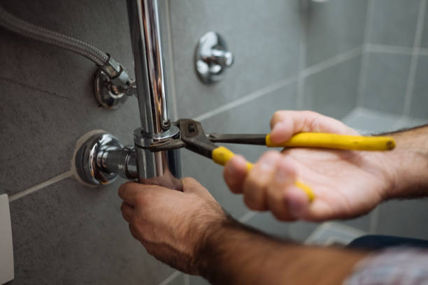 Best Clogged Drain Plumber  in Ellijay, GA