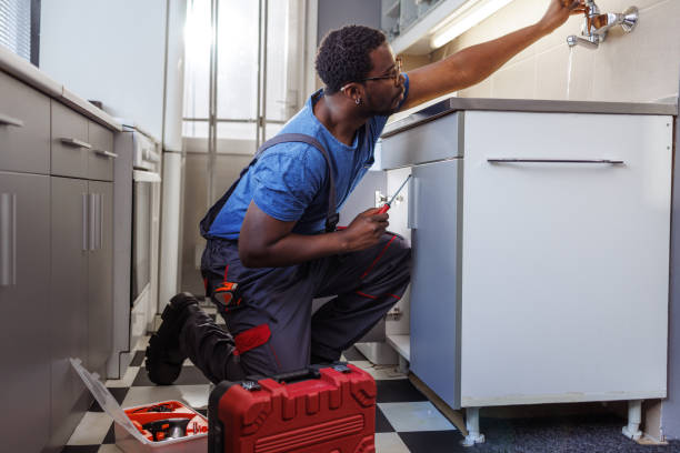 Best Plumbing Inspection Services  in Ellijay, GA